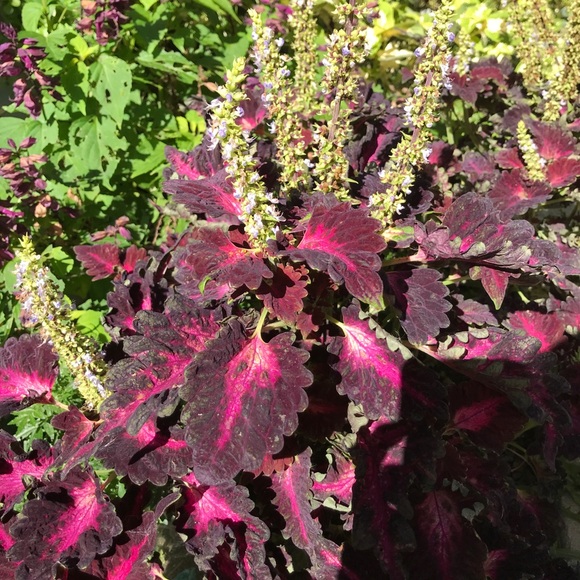 Meet your Posher, Jennifer - Picture 2 of 6